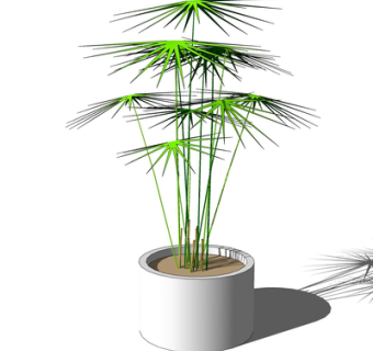 现代绿植盆栽su模型