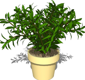 现代绿植盆栽su模型