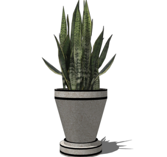 现代绿植盆栽su模型