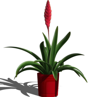 现代绿植盆栽su模型