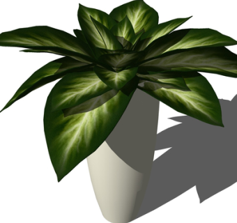 现代绿植盆栽su模型