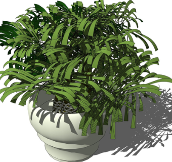 现代绿植盆栽su模型