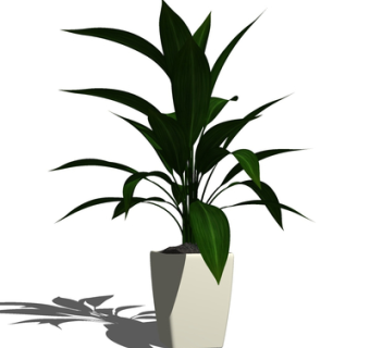 现代绿植盆栽su模型
