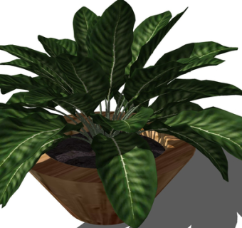 现代绿植盆栽su模型