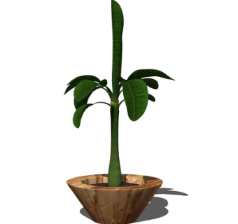 现代绿植盆栽su模型