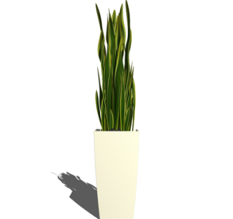 现代绿植盆栽su模型