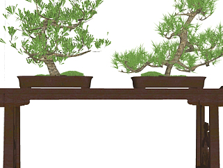 新中式绿植盆栽su模型