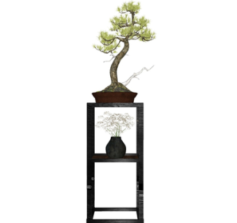 现代绿植盆栽su模型