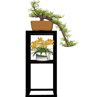 现代绿植盆栽su模型