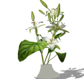 现代百合花花瓶su模型