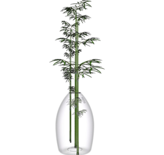 现代花瓶花卉su模型