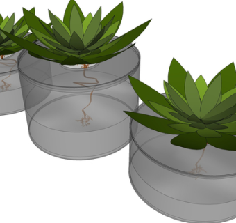 现代花瓶花卉su模型