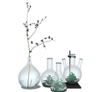 现代花瓶花卉su模型