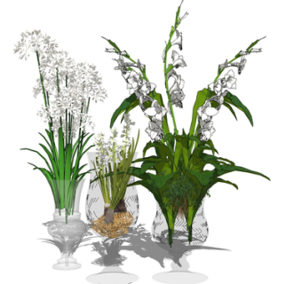 现代花瓶花卉su模型