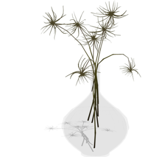 现代花瓶花卉su模型