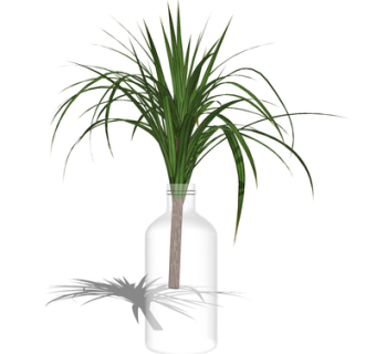 现代花瓶花卉su模型