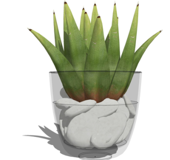 现代绿植盆栽su模型