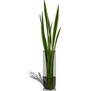 现代花瓶花卉su模型