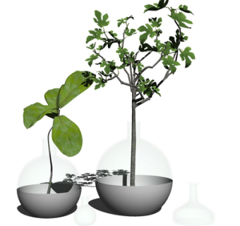 现代花瓶花卉su模型