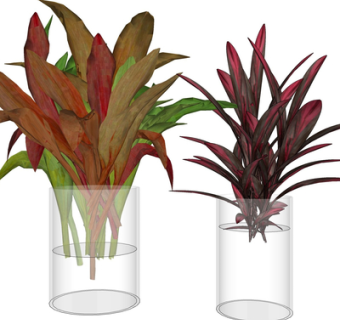 现代花瓶花卉su模型