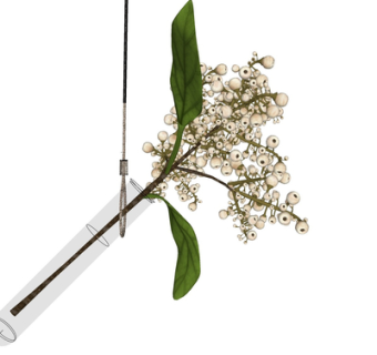 现代花瓶花卉su模型