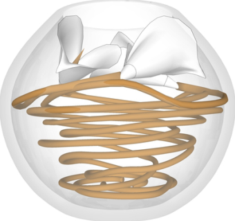 现代玻璃花瓶su模型