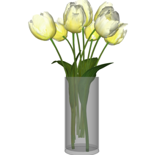 现代花瓶花卉su模型