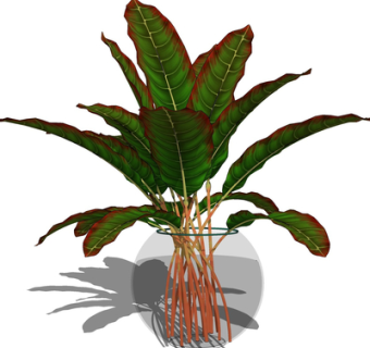 现代花瓶花卉su模型