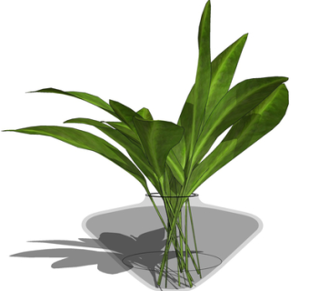 现代花瓶花卉su模型