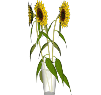 现代花瓶花卉su模型