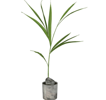 现代花瓶花卉su模型