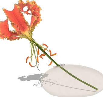 现代花瓶花卉su模型