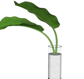 现代花瓶花卉su模型