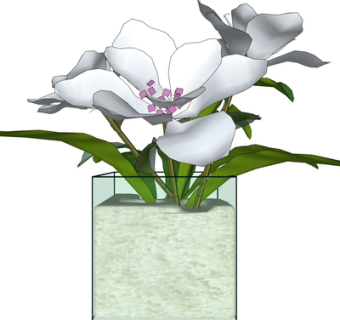 现代花瓶花卉su模型