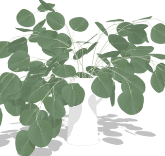 现代花瓶花卉su模型