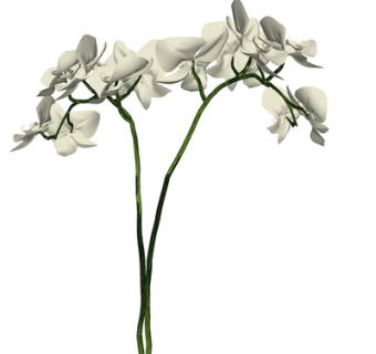 现代花瓶花卉su模型