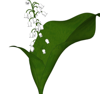 现代绿植花卉su模型