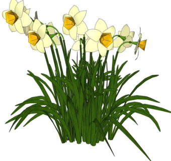 现代绿植花草su模型