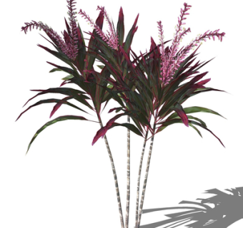 现代绿植花草su模型