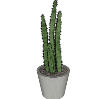 现代仙人掌盆栽su模型