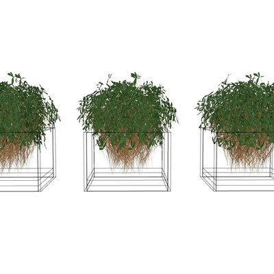 现代绿植盆栽su模型