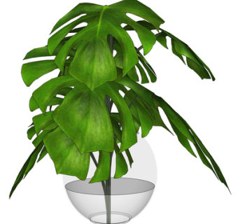 现代花瓶绿植su模型