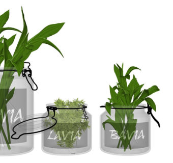 现代绿植盆栽su模型