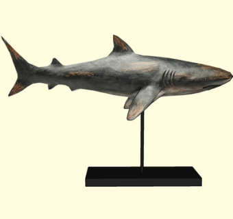 现代鲨鱼摆件su模型