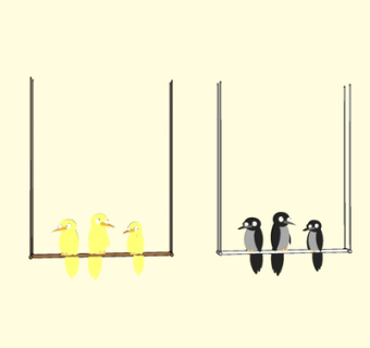 现代鸟儿su模型