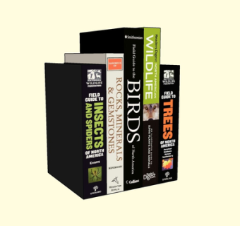 现代书籍su模型