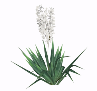 现代花草植物su模型