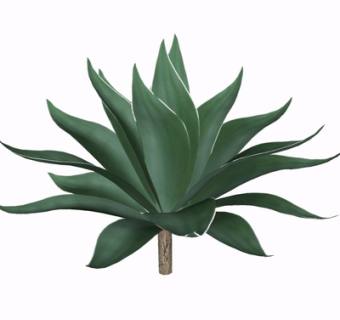 现代绿植花草su模型