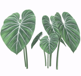 现代绿植su模型