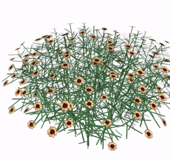 现代向日葵su模型